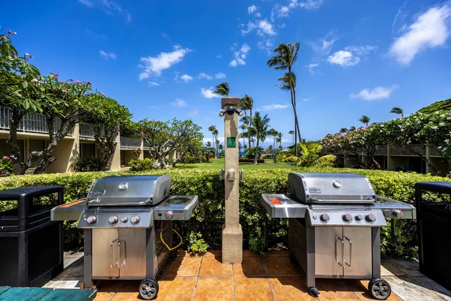 a view of a yard with furniture
