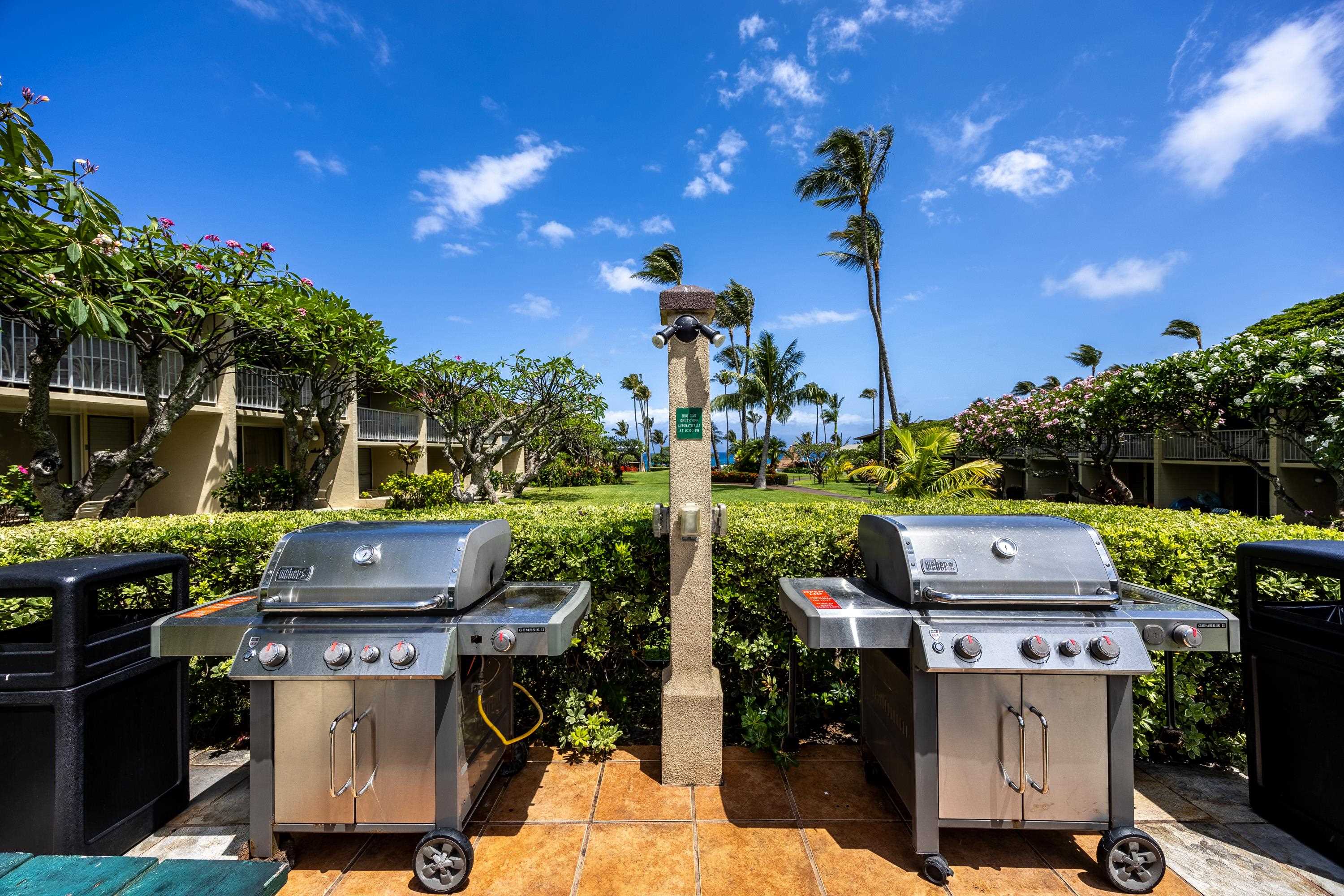 5315 Lower Honoapiilani Road, Unit F249 Lahaina, HI 96761 - Photo 30 of 33 a view of a yard with furniture