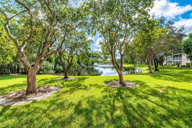 a view of a backyard with plants and large trees