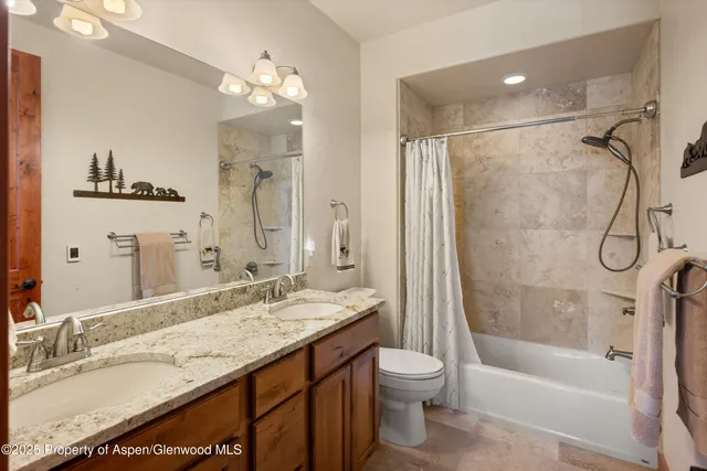 a bathroom with a granite countertop sink a toilet and shower