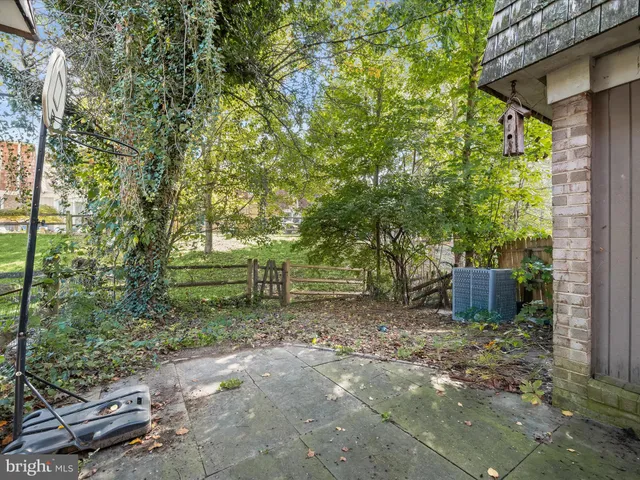 a view of a backyard with plants and a large tree