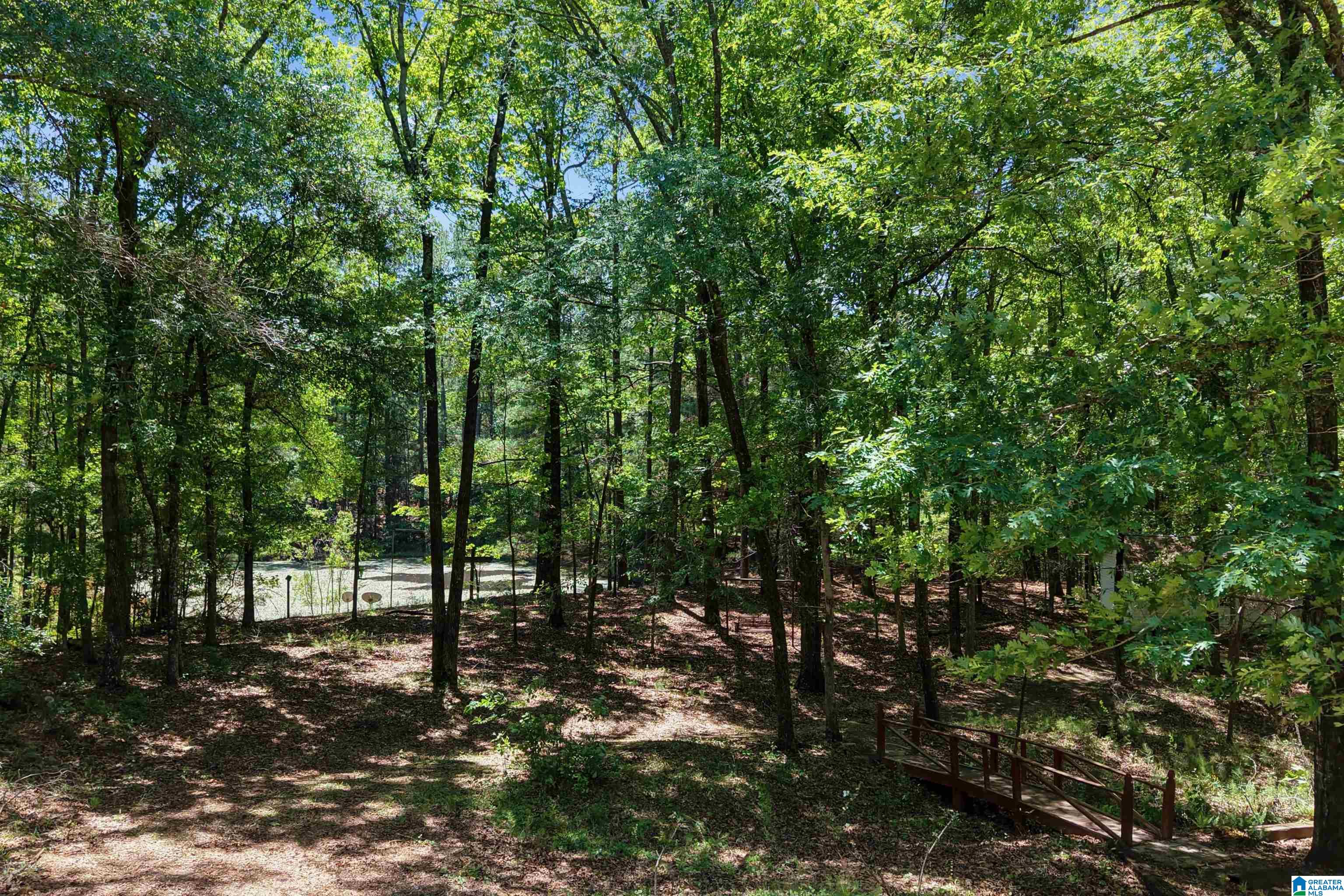 360 Cornelia Road Brierfield, AL 35035 - Photo 56 of 67