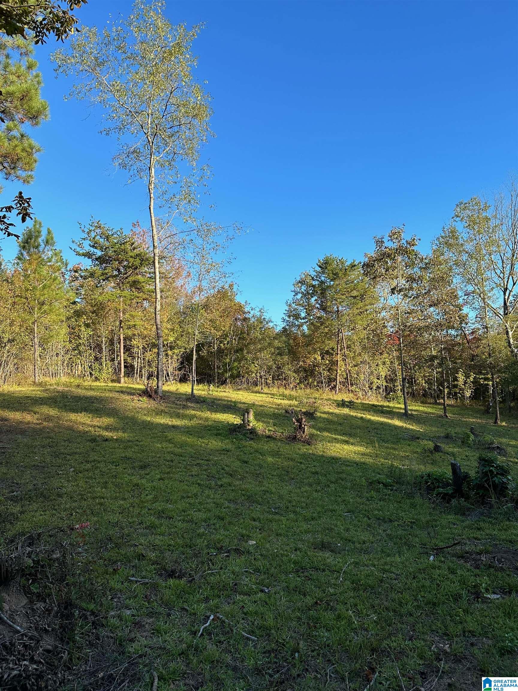 0 Reed Creek Drive Shelby, AL 35143 - Photo 13 of 15