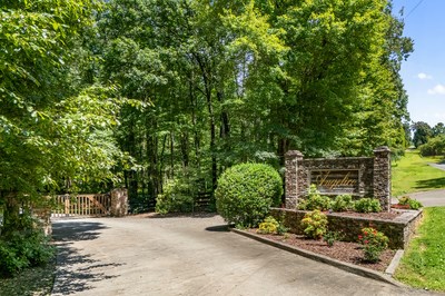 105 Double Branch Trail Murphy, NC 28906 - Photo 3 of 75 a view of a garden with plants and a bench