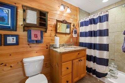 105 Double Branch Trail Murphy, NC 28906 - Photo 55 of 75 a bathroom with a sink toilet and shower