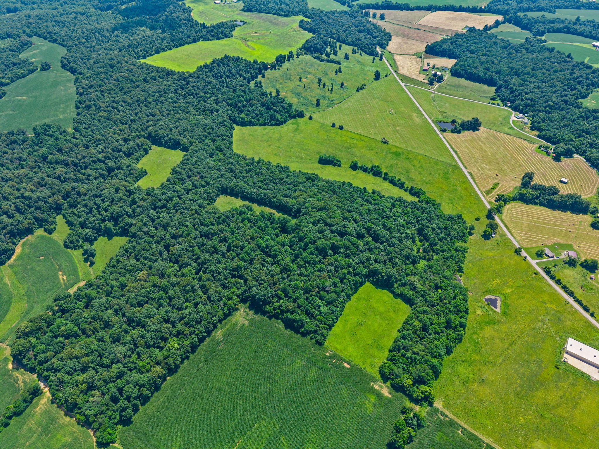 0 Highway 672 Princeton, KY 42445 - Photo 6 of 41