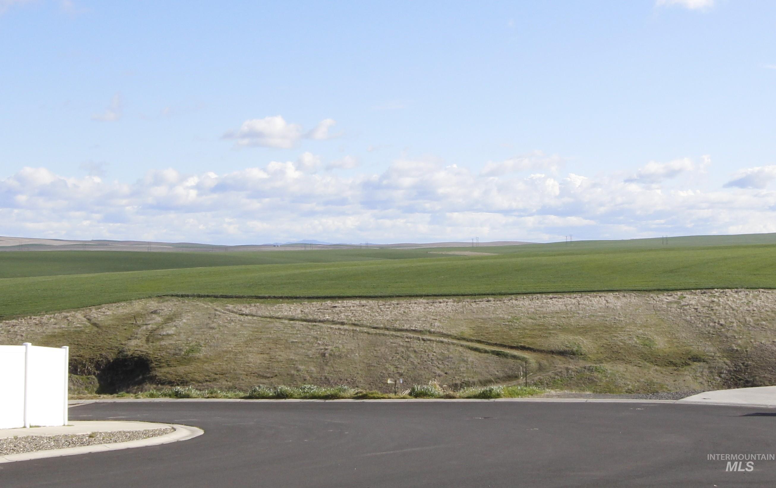 3225 Hidden Valley Loop Lewiston, ID 83501 - Photo 1 of 10 View of asphalt road with a view of countryside