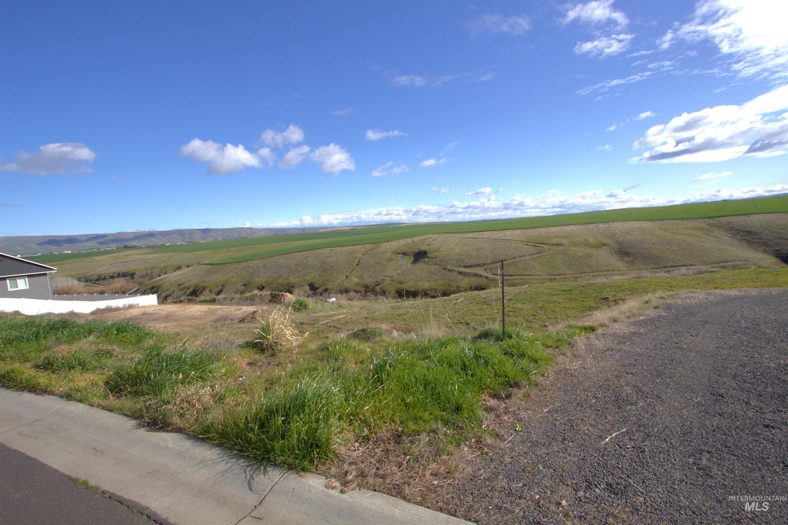 3225 Hidden Valley Loop Lewiston, ID 83501 - Photo 3 of 10 View of street featuring a view of countryside