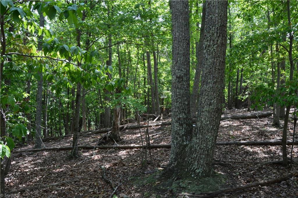 2122 Cherokee Camp Road Reidsville, NC 27320 - Photo 8 of 21 Gallery Image 8