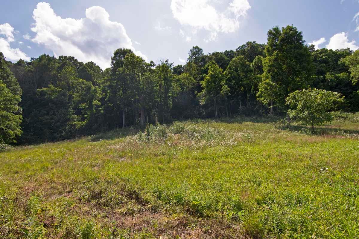 Rich Hollow Road Lewisburg, WV 24901 - Photo 44 of 59 Gallery Image 44
