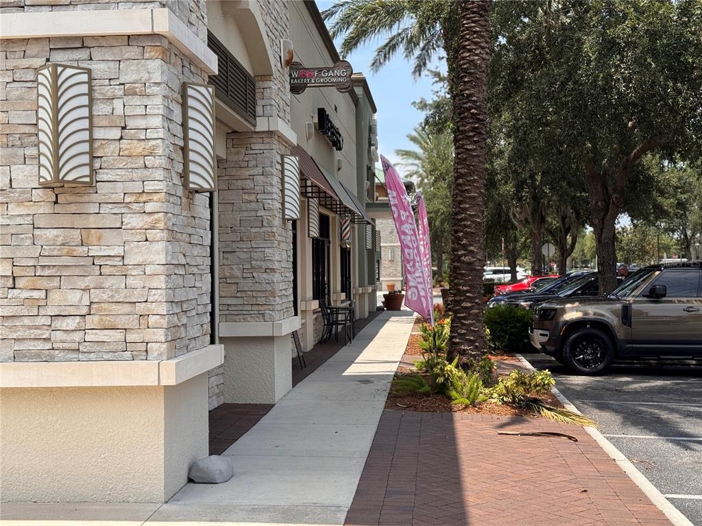 10615 Village Lake Road Windermere, FL 34786 - Photo 61 of 62 Gallery Image 61