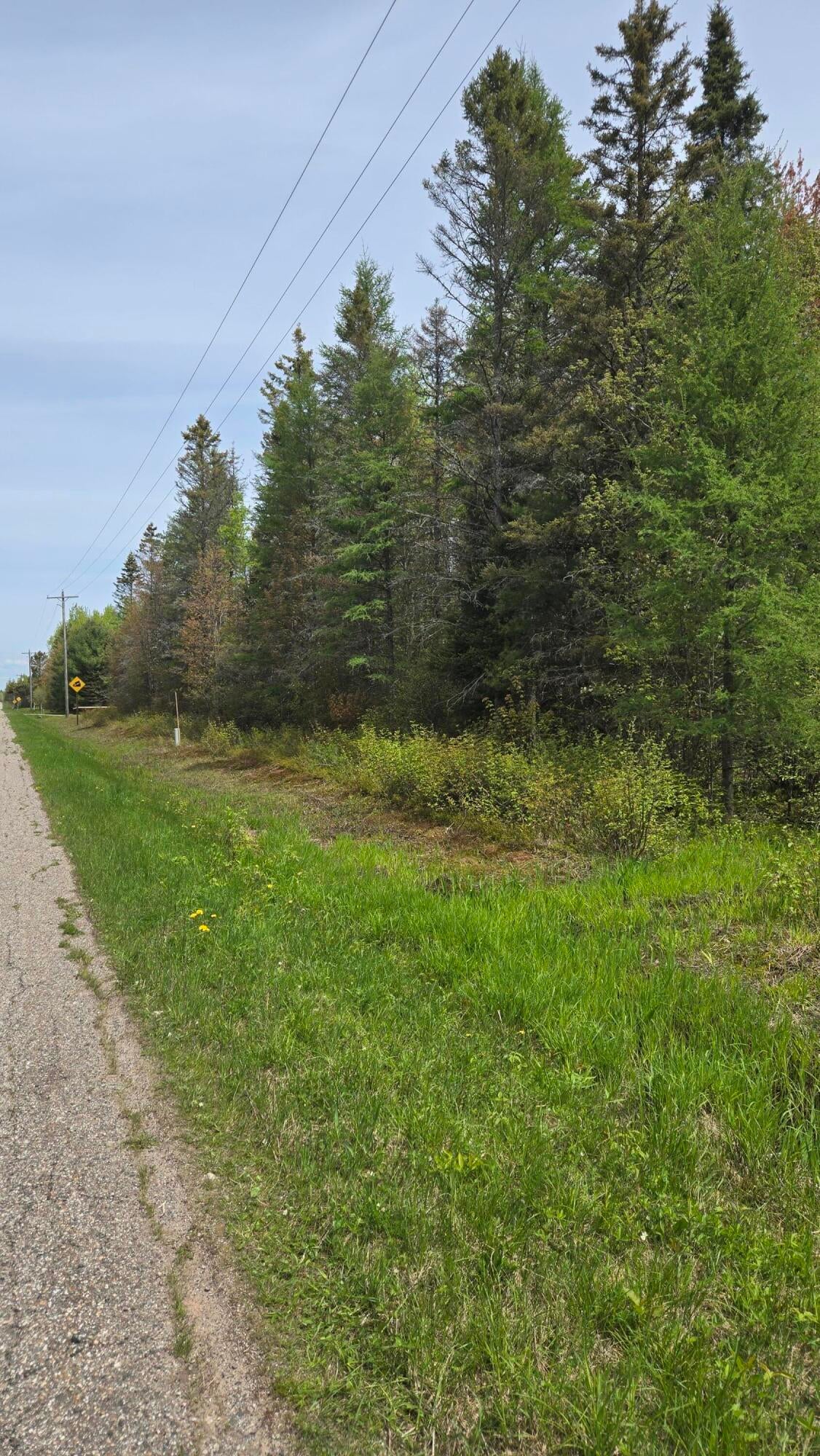 0 South Forrest Side Road Brimley, MI 49715 - Photo 4 of 6 Gallery Image 4