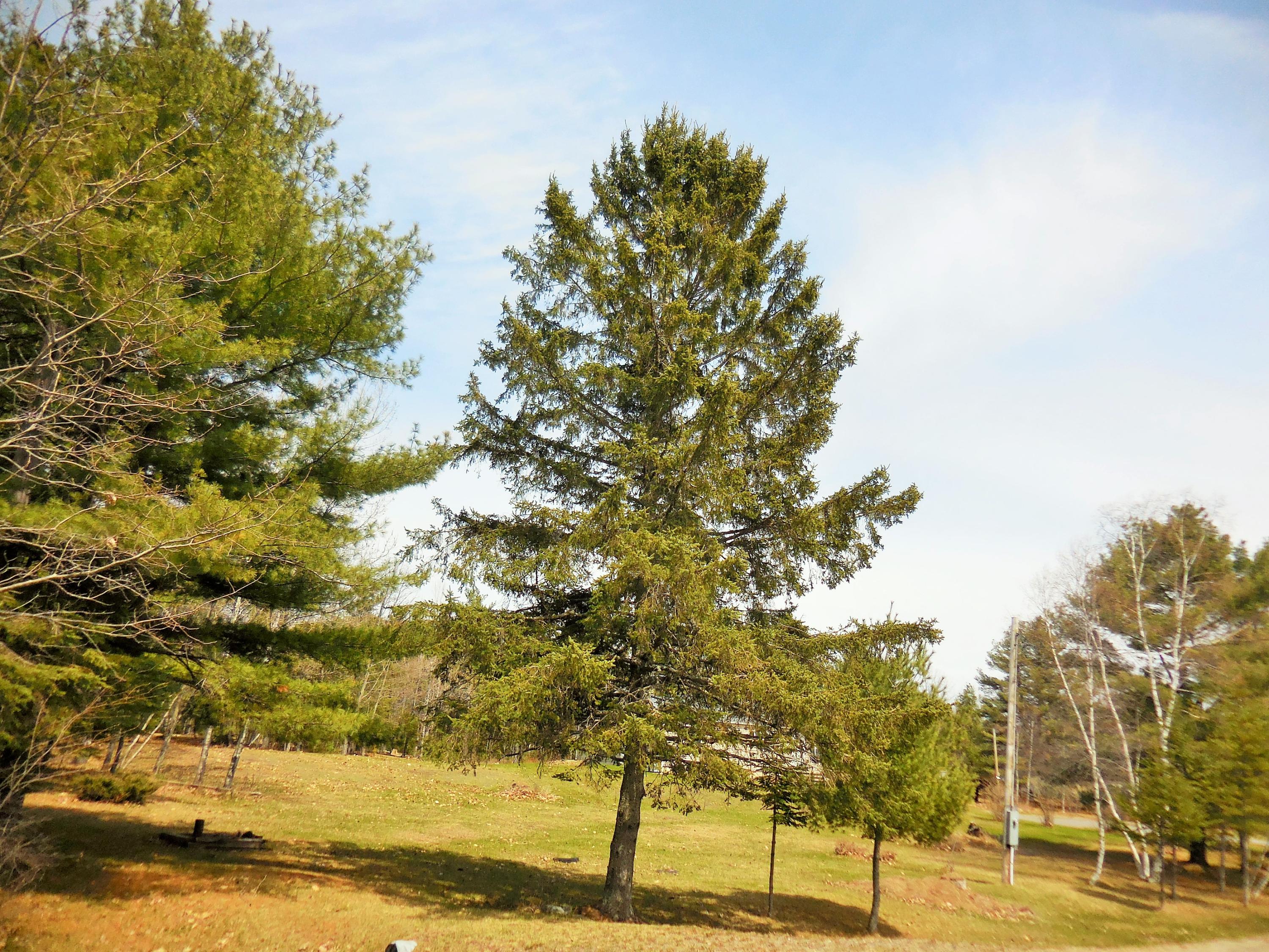 580 Greenbush Road Corinna, ME 04928 - Photo 37 of 41 37