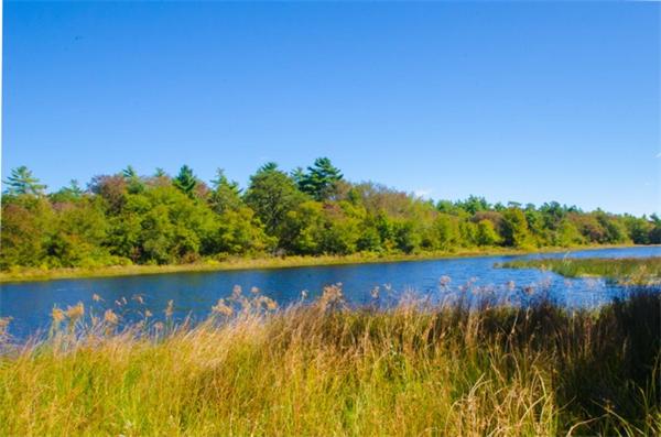 56 Hathaway Pond Circle, Unit 56 Rochester, MA 02770 - Photo 11 of 12 Gallery Image 11