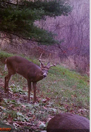 $599,900 | W7113 Leigh Road, Mauston, WI 53948