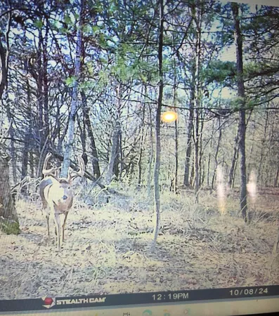 $599,900 | W7113 Leigh Road, Mauston, WI 53948