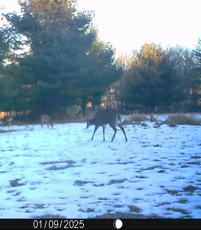 $599,900 | W7113 Leigh Road, Mauston, WI 53948