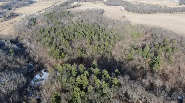 $599,900 | W7113 Leigh Road, Mauston, WI 53948