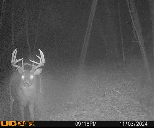 $599,900 | W7113 Leigh Road, Mauston, WI 53948