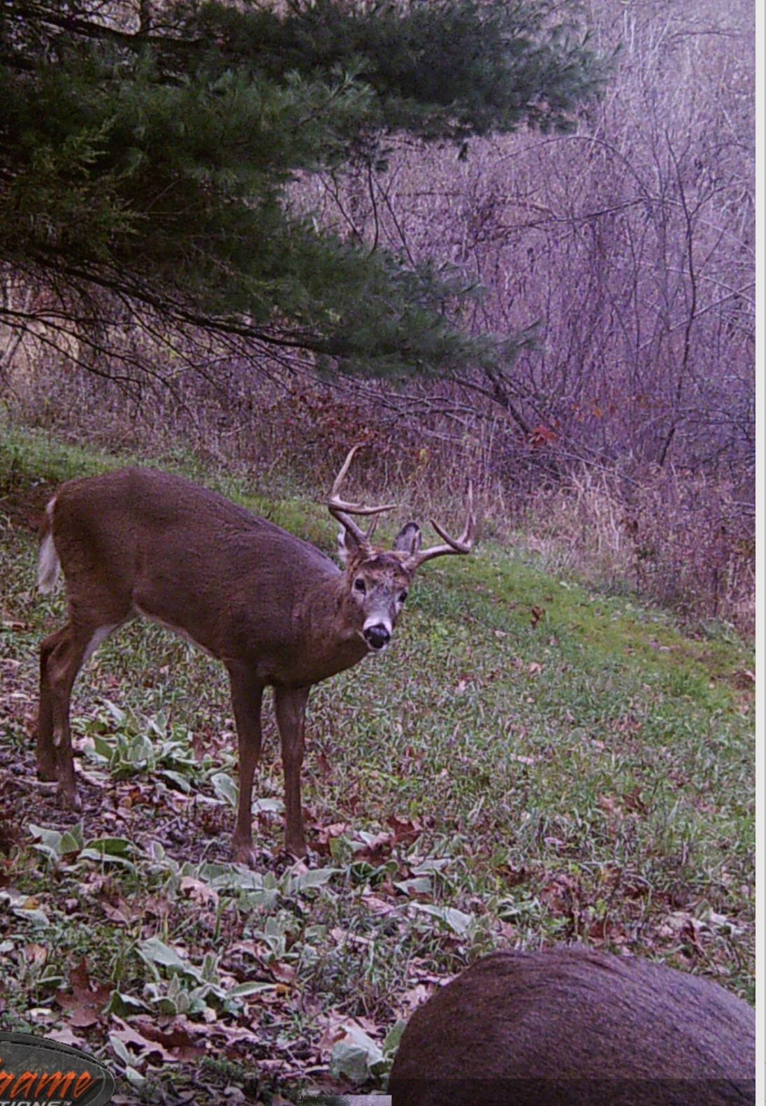 W7113 Leigh Road Mauston, WI 53948 - Photo 23 of 84