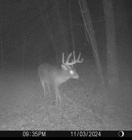 $599,900 | W7113 Leigh Road, Mauston, WI 53948