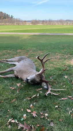 $599,900 | W7113 Leigh Road, Mauston, WI 53948