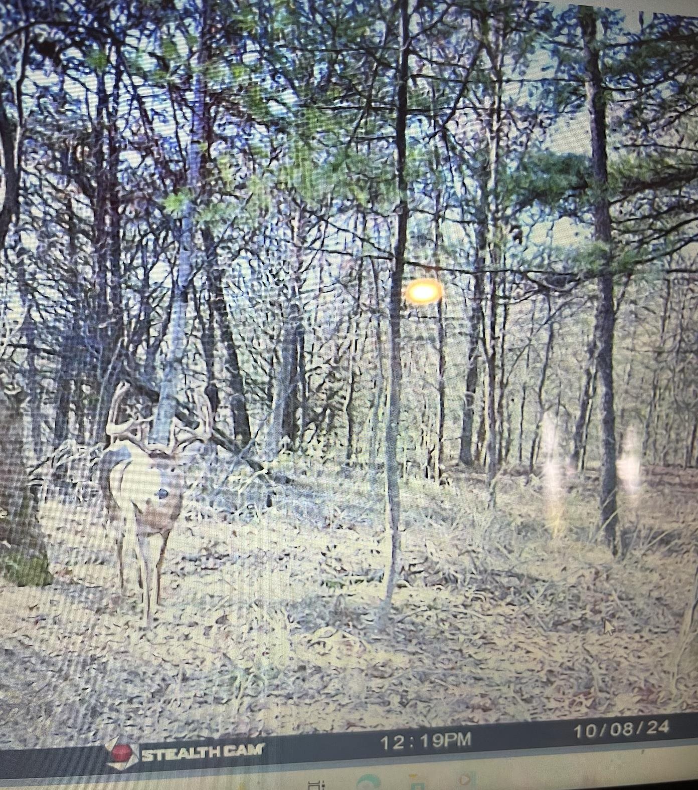 W7113 Leigh Road Mauston, WI 53948 - Photo 24 of 84