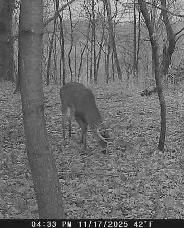 $599,900 | W7113 Leigh Road, Mauston, WI 53948