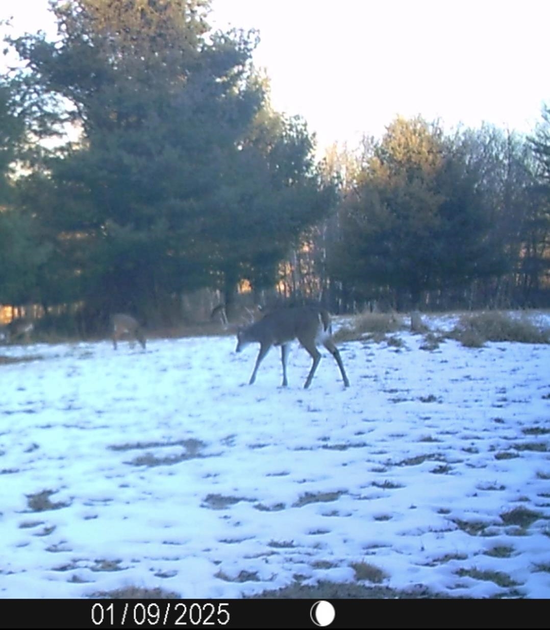 W7113 Leigh Road Mauston, WI 53948 - Photo 25 of 84