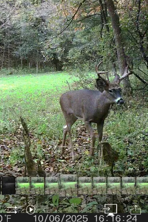 $599,900 | W7113 Leigh Road, Mauston, WI 53948