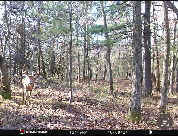 $599,900 | W7113 Leigh Road, Mauston, WI 53948