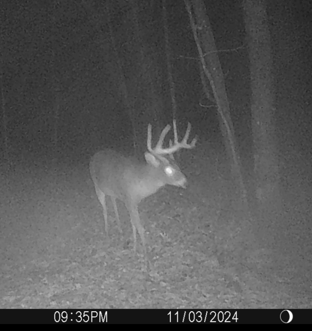 W7113 Leigh Road Mauston, WI 53948 - Photo 28 of 84