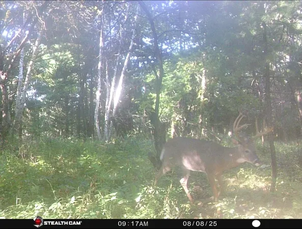 $599,900 | W7113 Leigh Road, Mauston, WI 53948