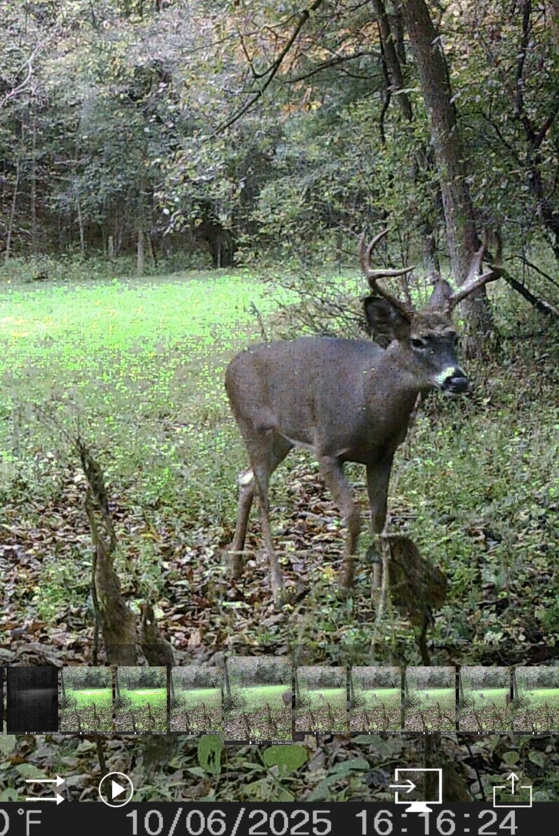 W7113 Leigh Road Mauston, WI 53948 - Photo 32 of 84