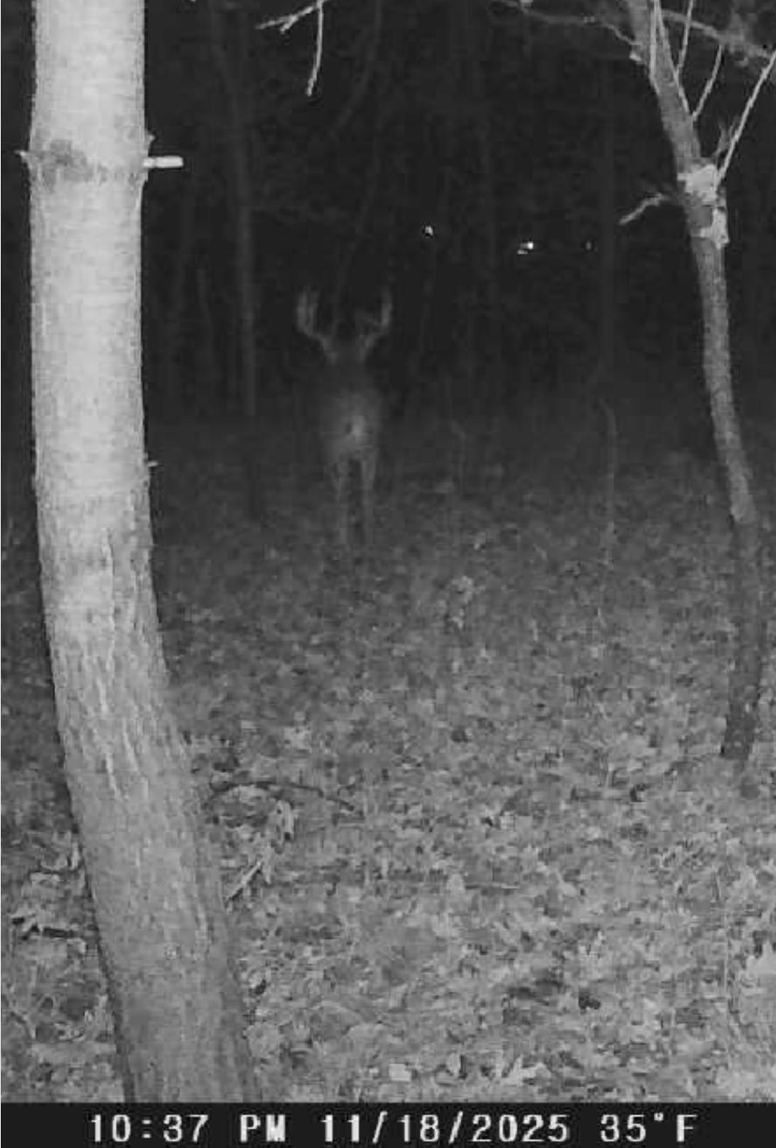 W7113 Leigh Road Mauston, WI 53948 - Photo 33 of 84