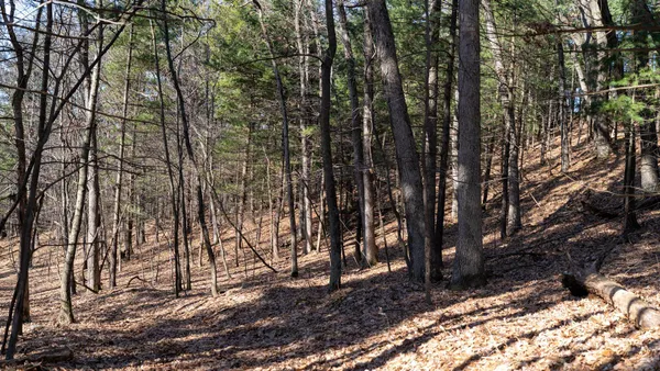 $599,900 | W7113 Leigh Road, Mauston, WI 53948