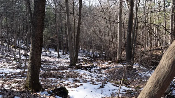 $599,900 | W7113 Leigh Road, Mauston, WI 53948