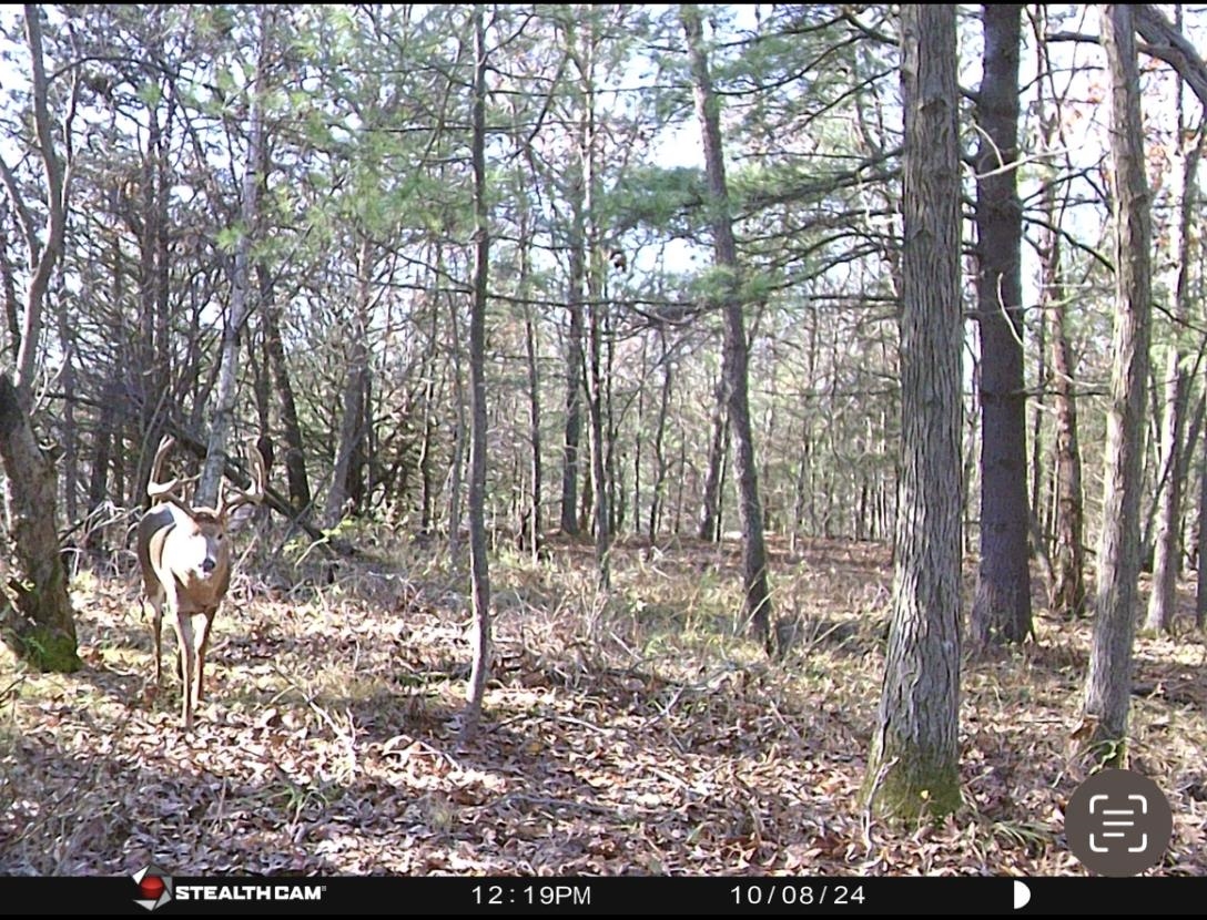 W7113 Leigh Road Mauston, WI 53948 - Photo 35 of 84