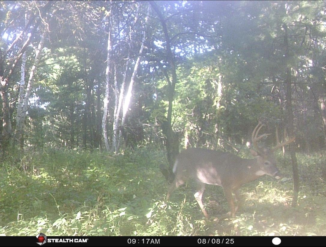 W7113 Leigh Road Mauston, WI 53948 - Photo 36 of 84