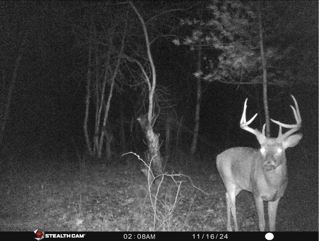 W7113 Leigh Road Mauston, WI 53948 - Photo 37 of 84