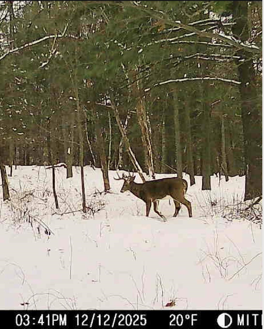 W7113 Leigh Road Mauston, WI 53948 - Photo 38 of 84