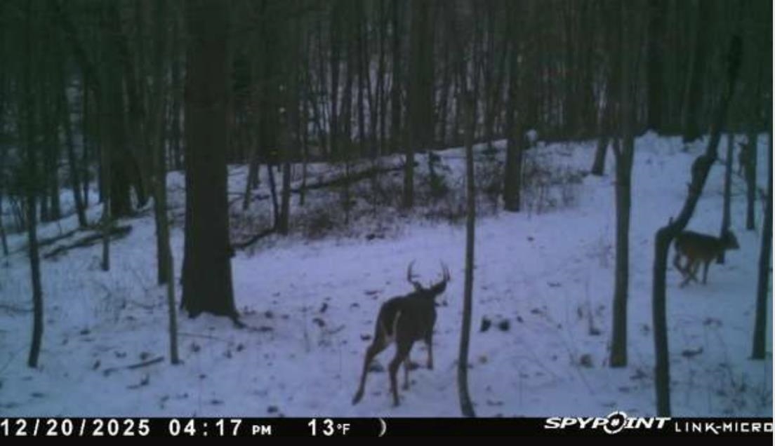 W7113 Leigh Road Mauston, WI 53948 - Photo 39 of 84