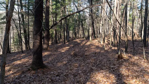 $599,900 | W7113 Leigh Road, Mauston, WI 53948