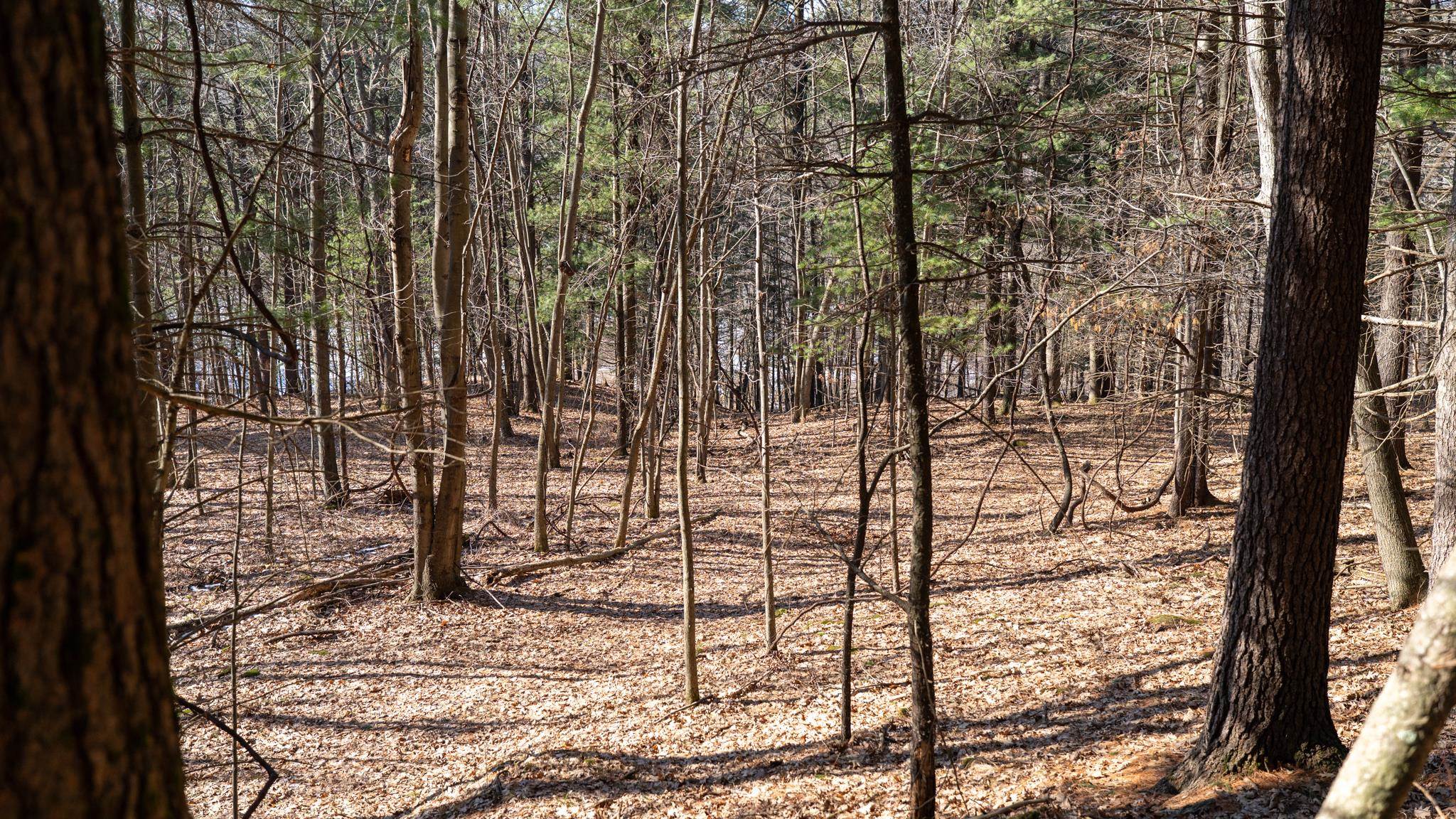 W7113 Leigh Road Mauston, WI 53948 - Photo 41 of 84