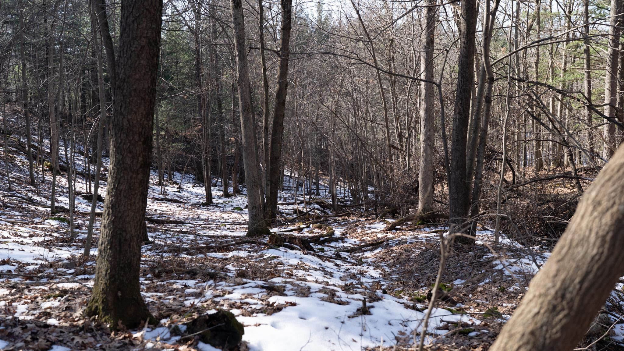 W7113 Leigh Road Mauston, WI 53948 - Photo 42 of 84