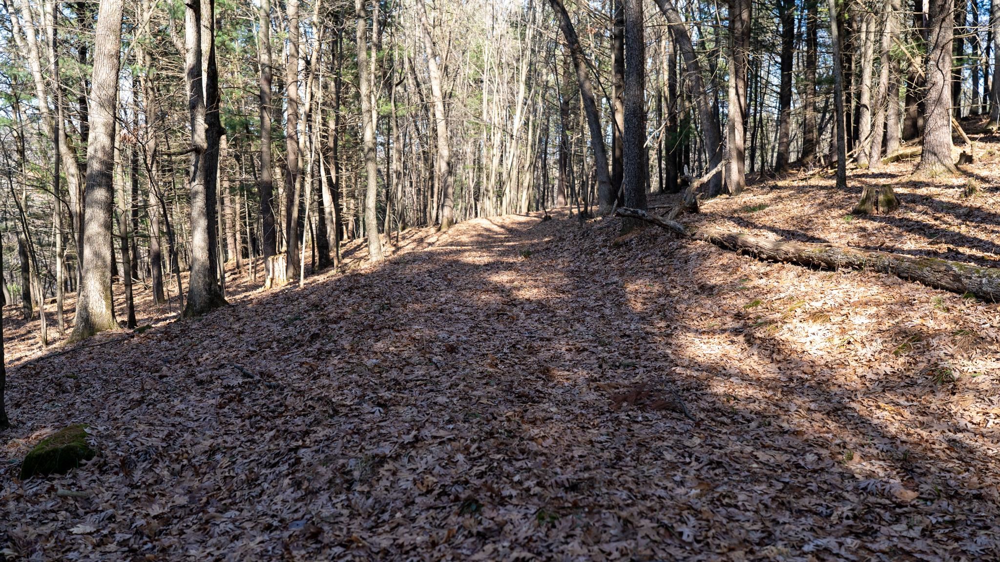 W7113 Leigh Road Mauston, WI 53948 - Photo 43 of 84