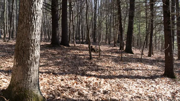 $599,900 | W7113 Leigh Road, Mauston, WI 53948