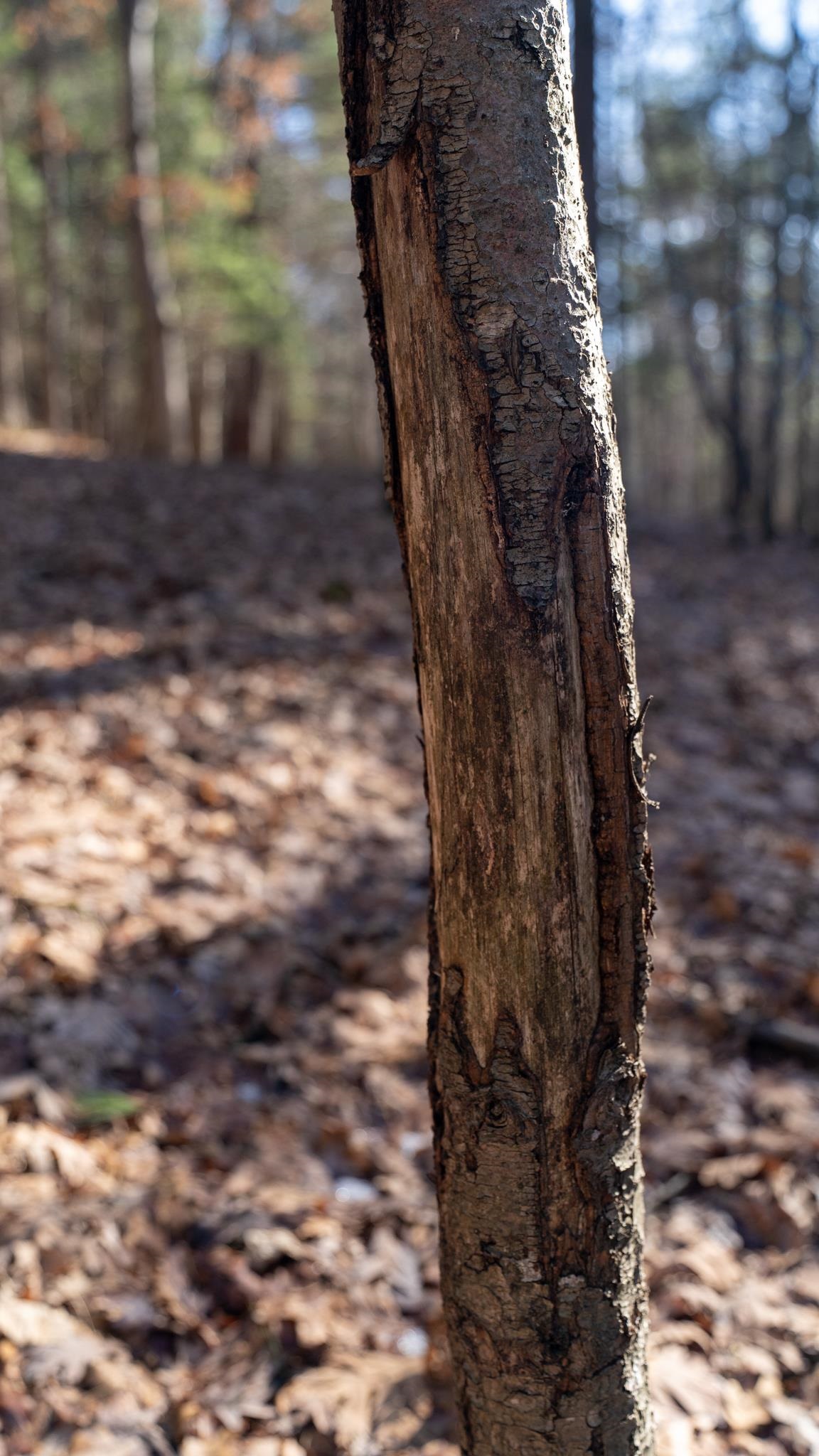 W7113 Leigh Road Mauston, WI 53948 - Photo 44 of 84