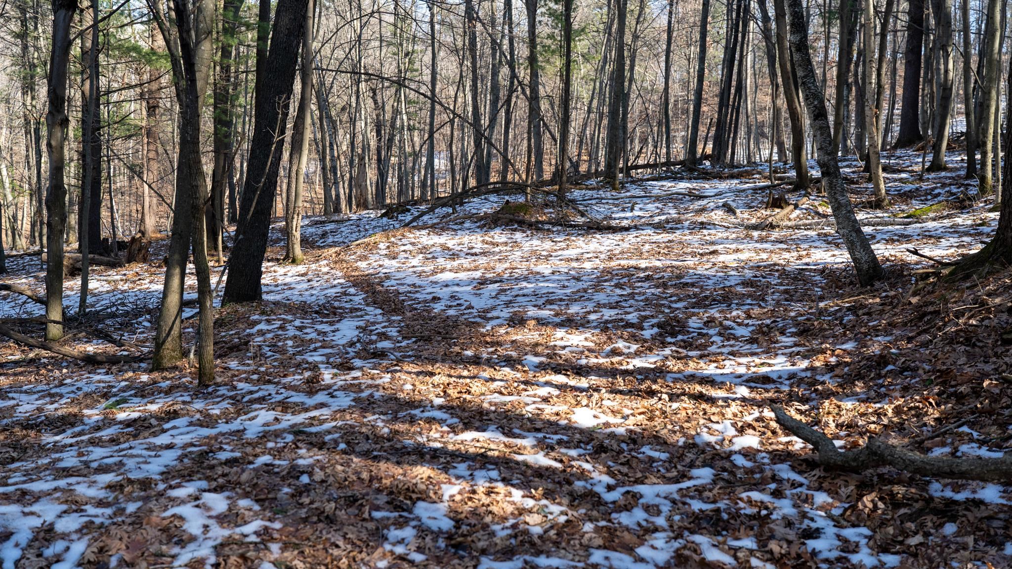 W7113 Leigh Road Mauston, WI 53948 - Photo 45 of 84