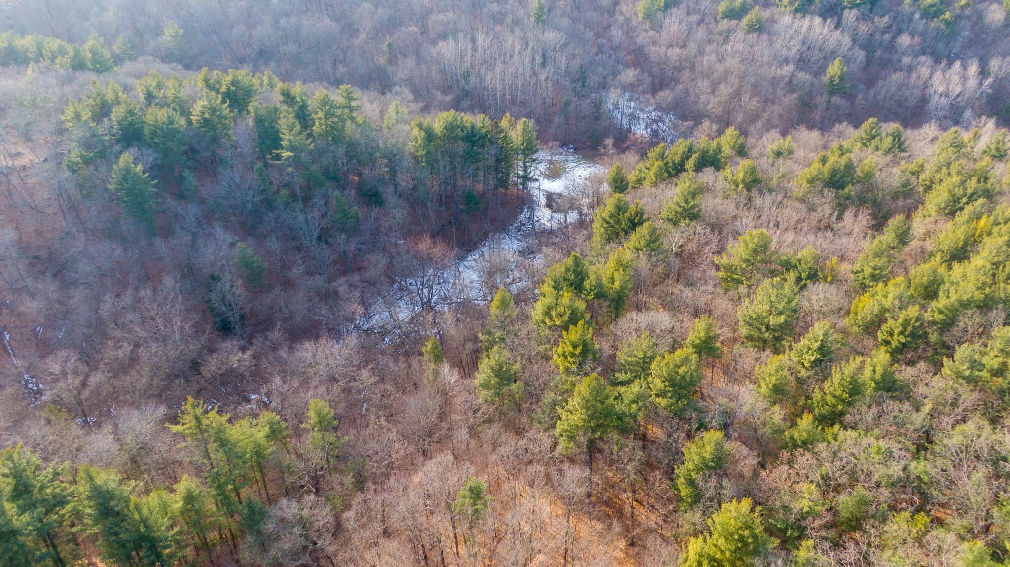 W7113 Leigh Road Mauston, WI 53948 - Photo 46 of 84